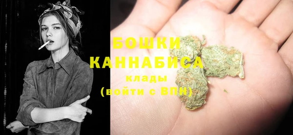 трава Аркадак