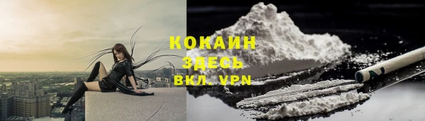 трава Аркадак
