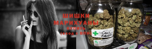 трава Аркадак