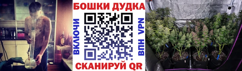 Канабис конопля Голицыно